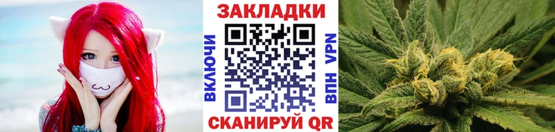 Где купить Новая Ладога Каннабис  Альфа ПВП  Меф 