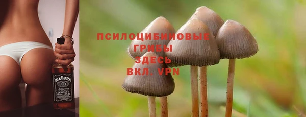 меф Алексин